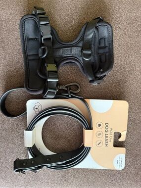 Wild One Black Dog Harness and Leash Set